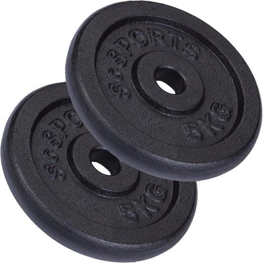 Disque en fonte 30 mm