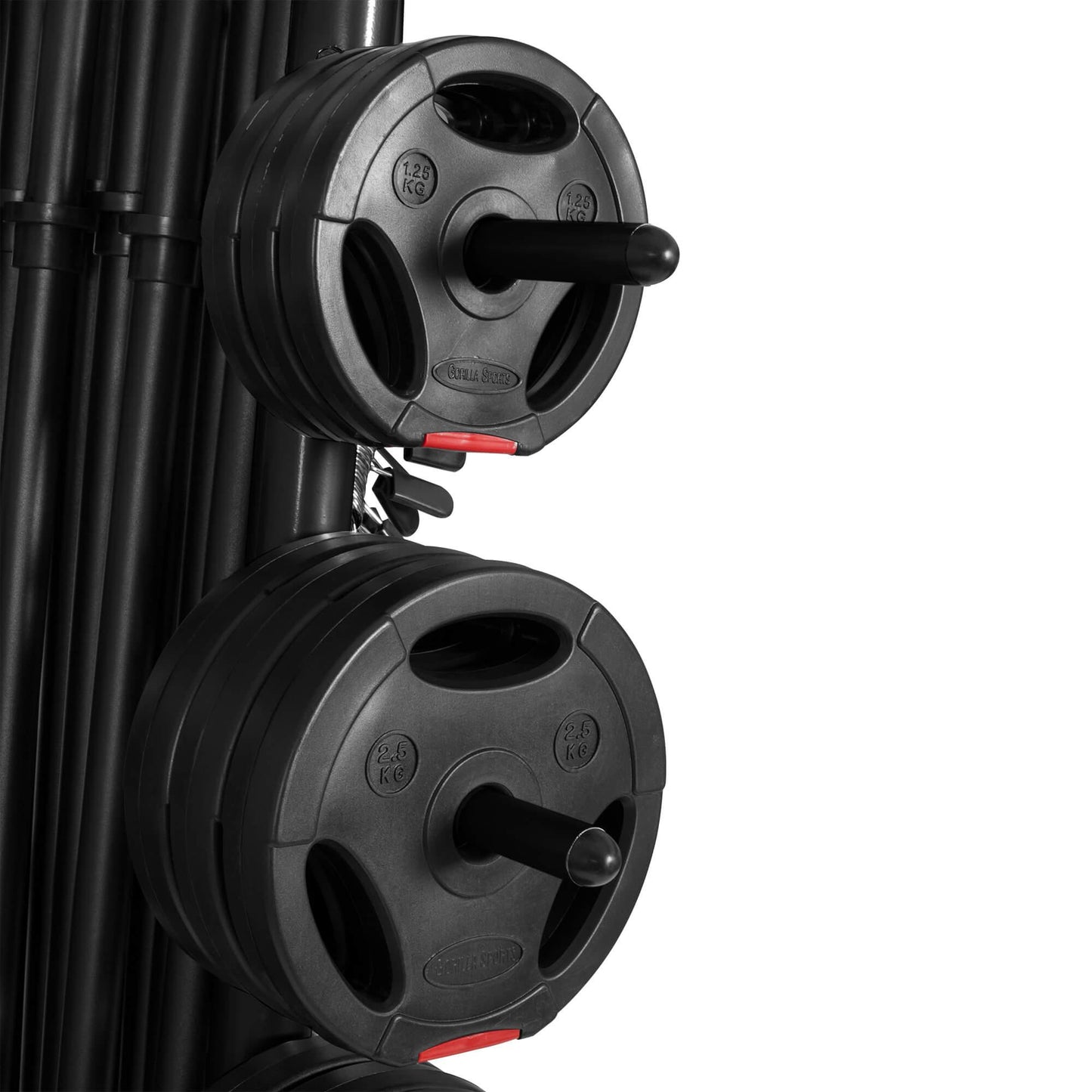 Rack de rangement - Gorilla Sports France