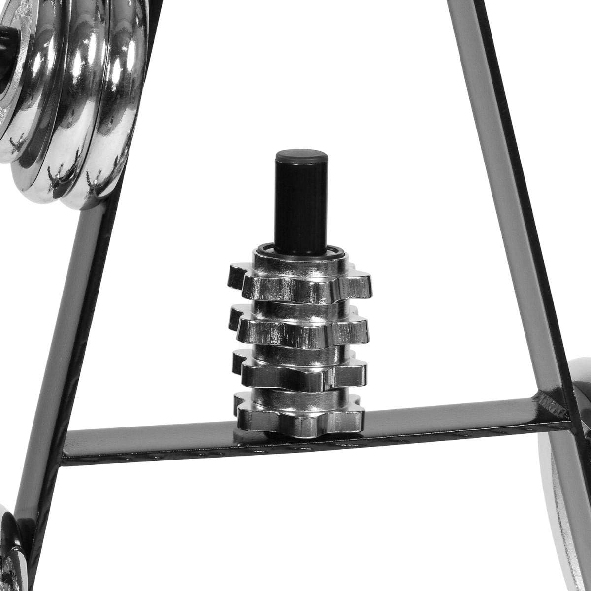 Support pour disques de musculation Noir