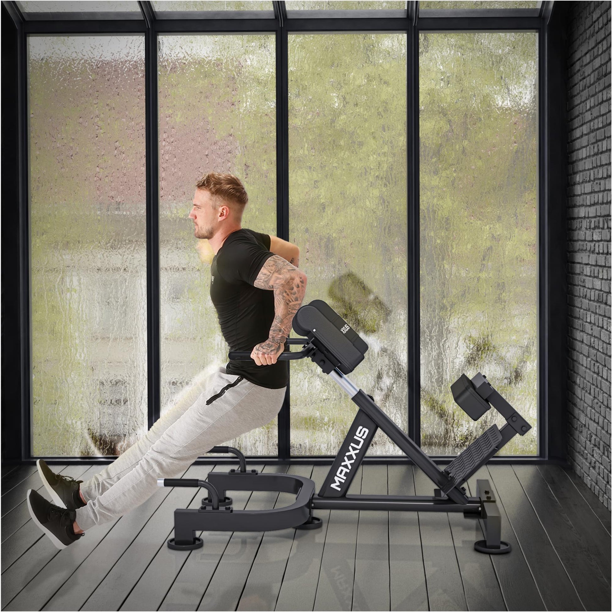 Poste d'hyperextension professionnel - Gorilla Sports France