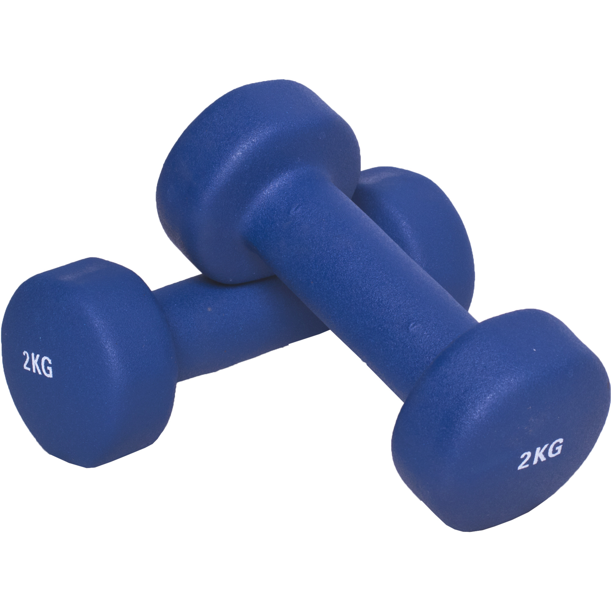 4 KG (2x2,0) HaltÃ¨re fitness en vinyle bleu