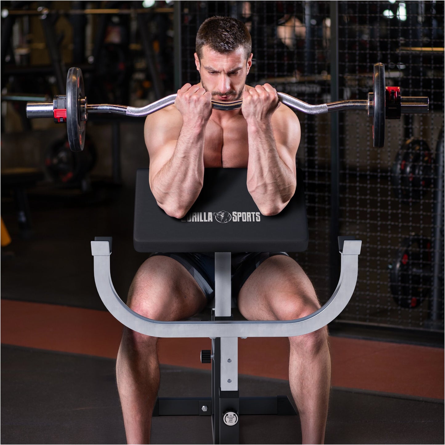 Banc de musculation curl biceps