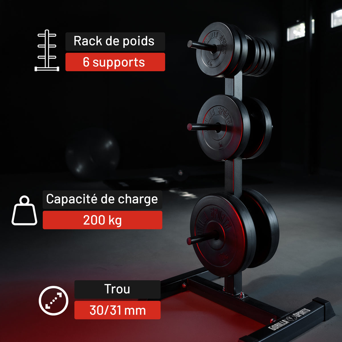 Rack de rangement pour haltères