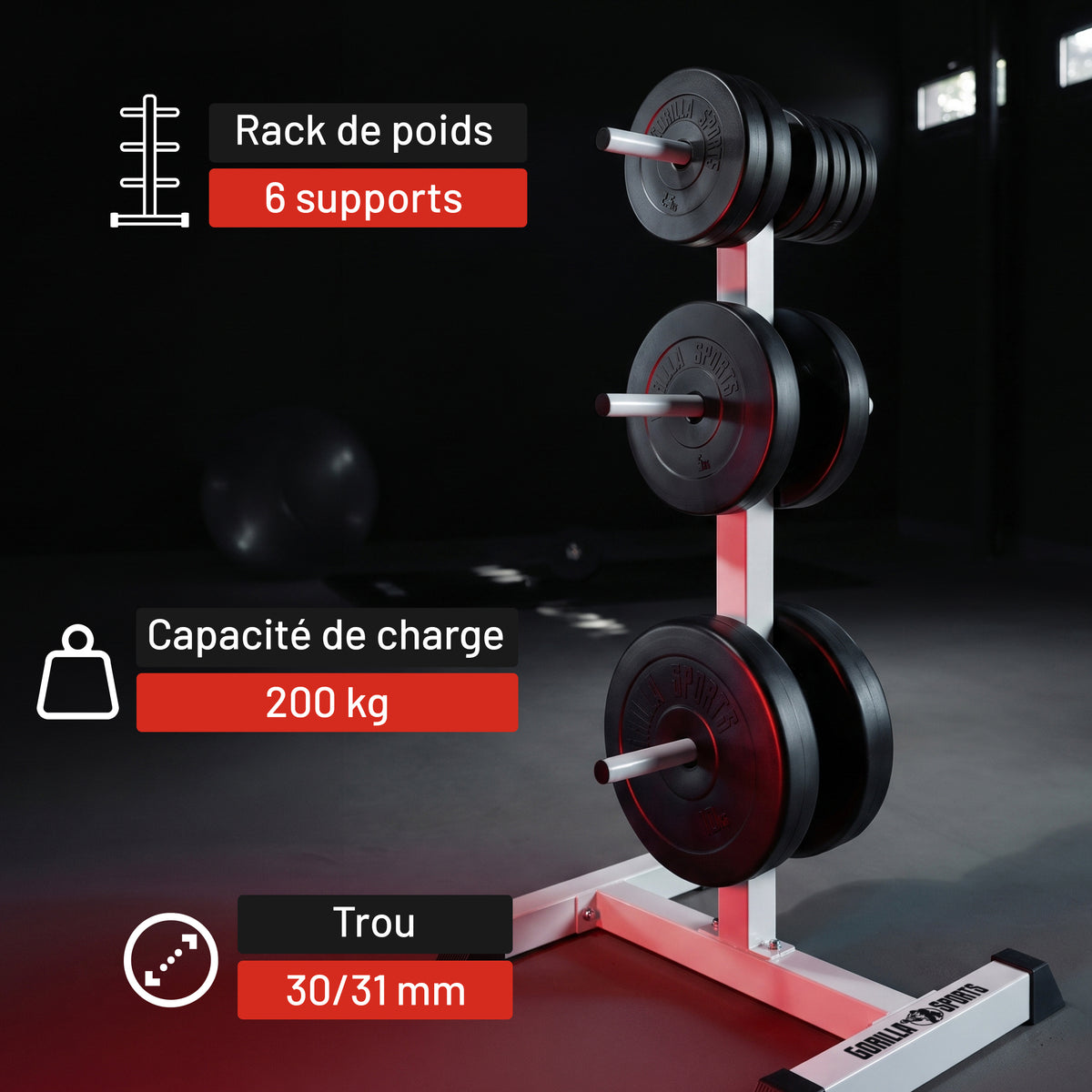 Rack de rangement pour haltères