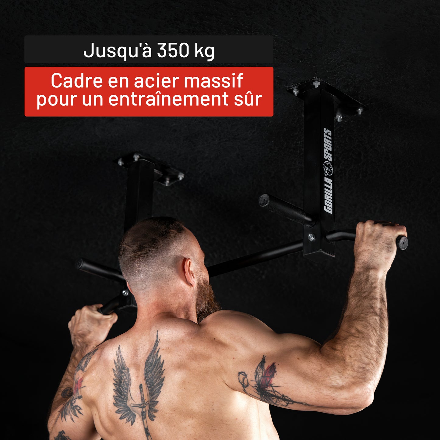 Barre de traction pour plafond