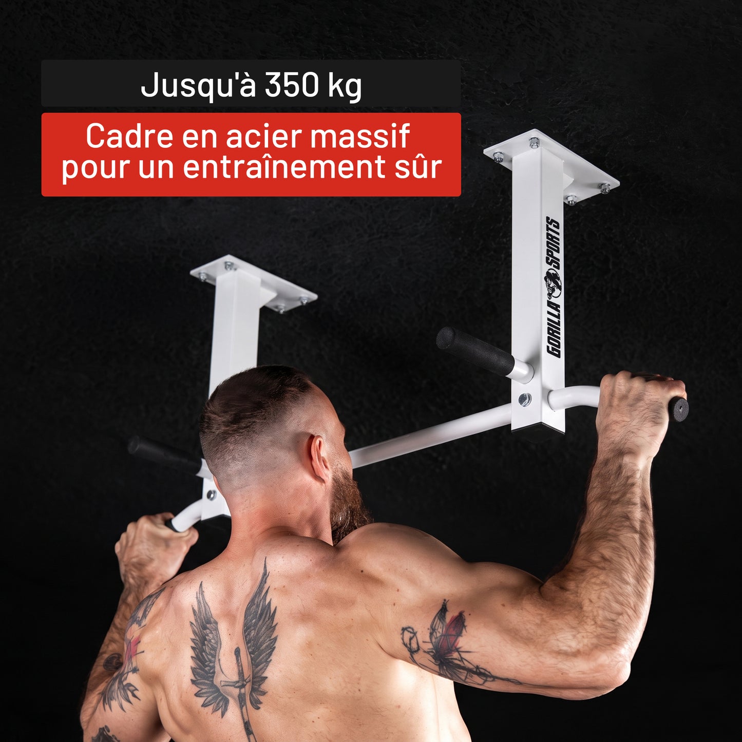 Barre de traction pour plafond