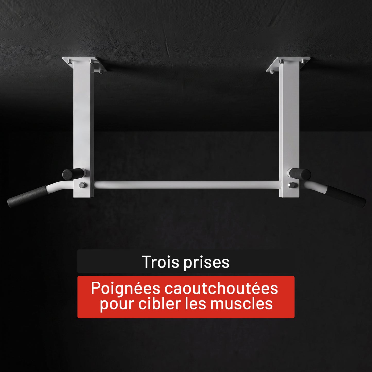 Barre de traction pour plafond