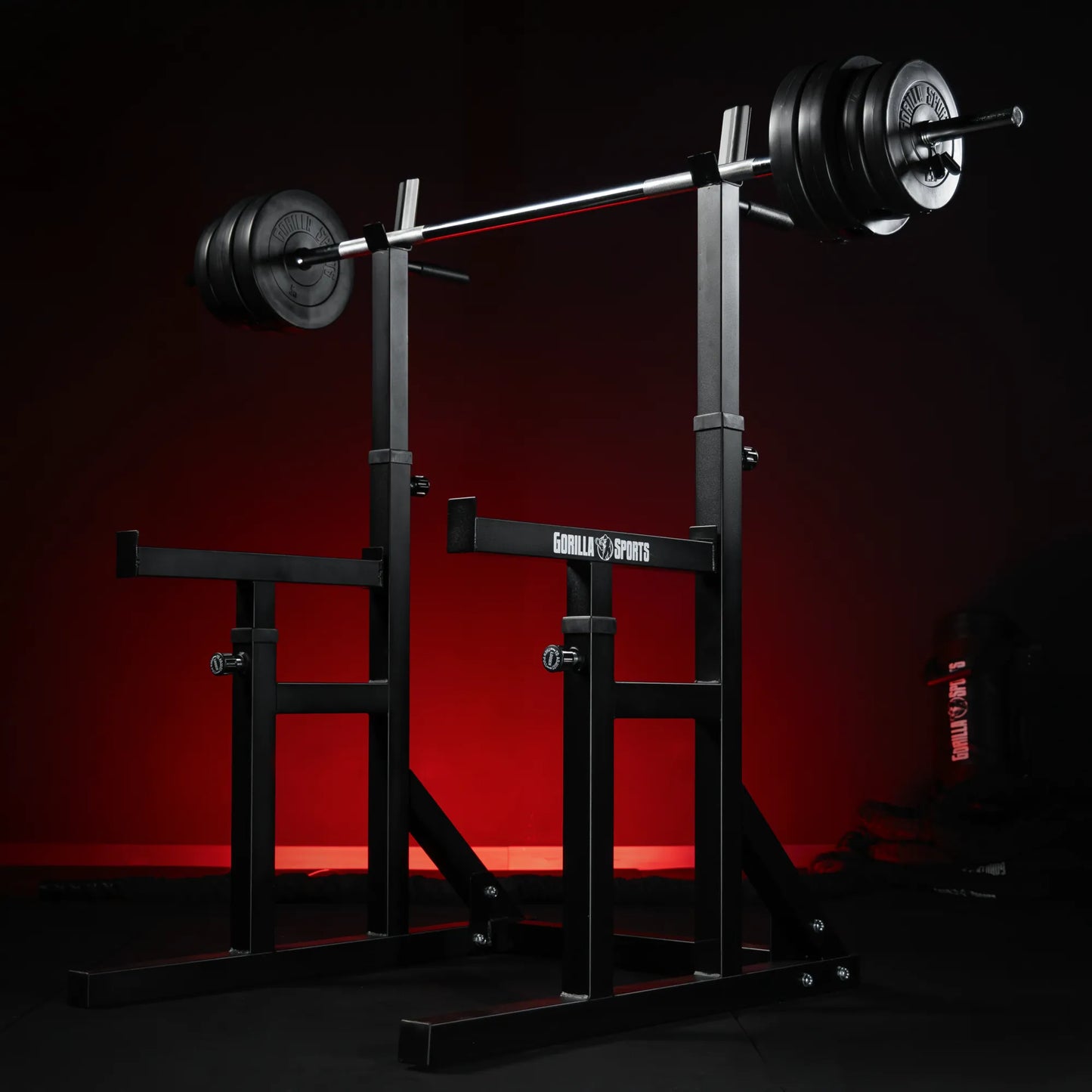 Rack à squat multifonction réglable avec poignées dips