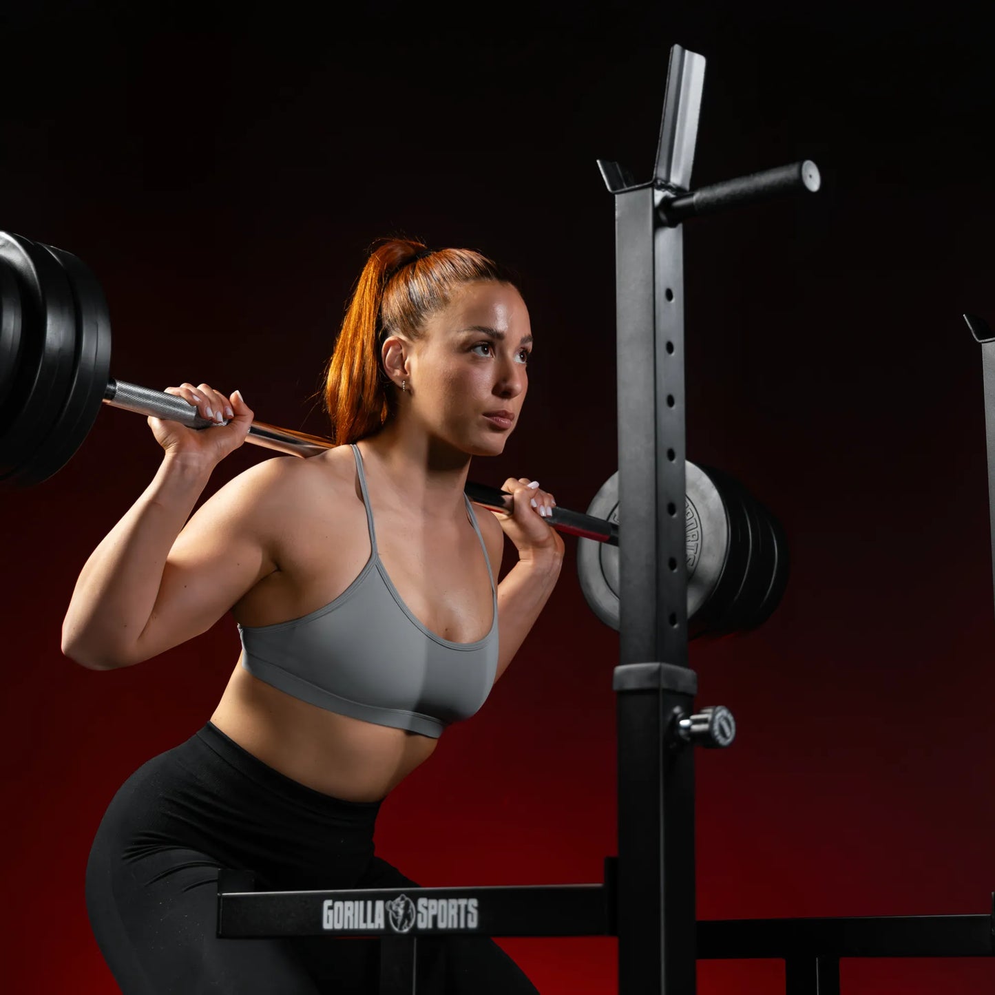 Rack à squat multifonction réglable avec poignées dips