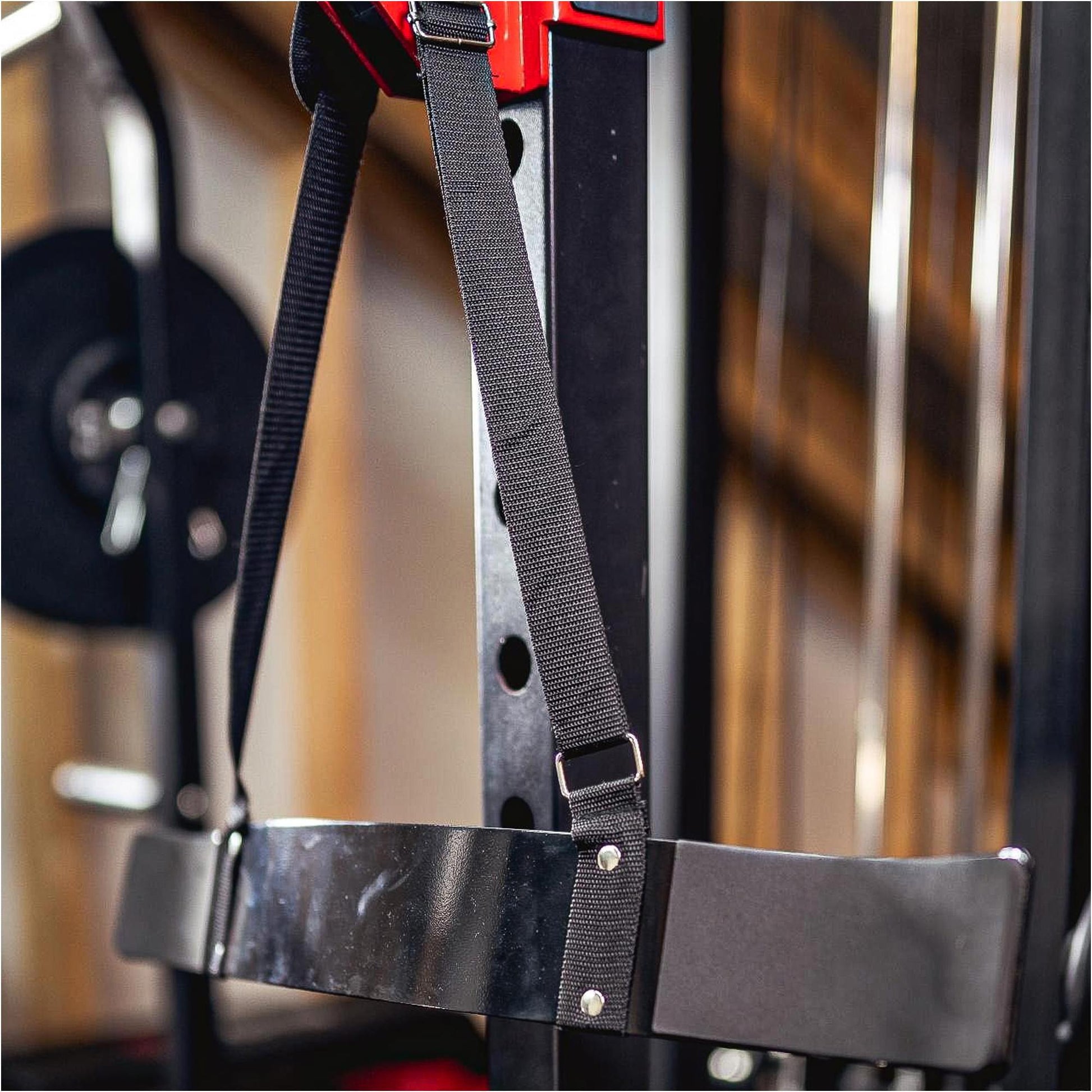 Isolateur de biceps - Gorilla Sports France