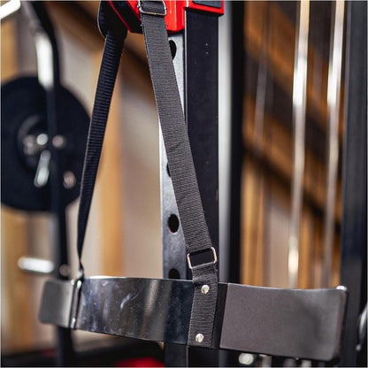 Isolateur de biceps - Gorilla Sports France