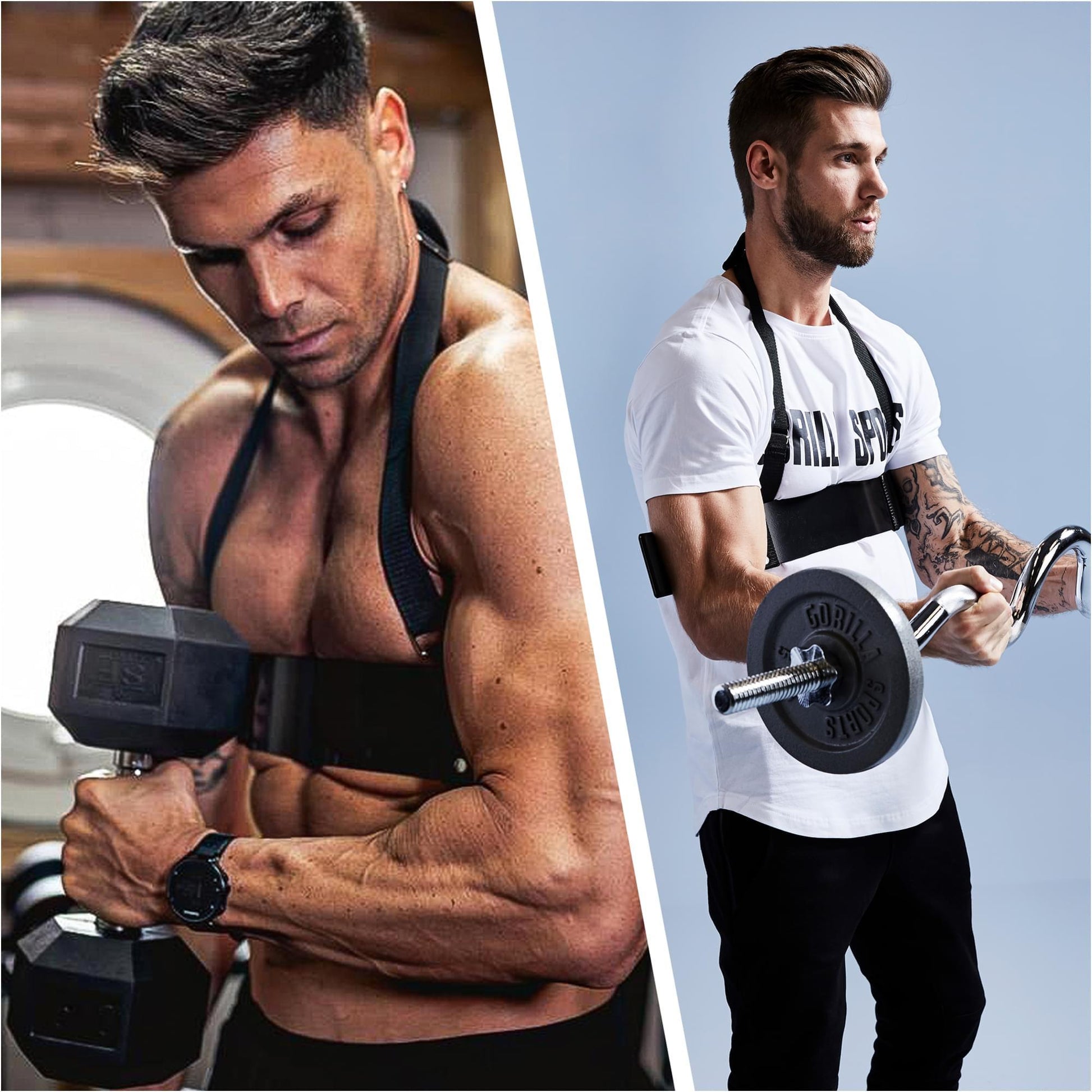 Isolateur de biceps - Gorilla Sports France