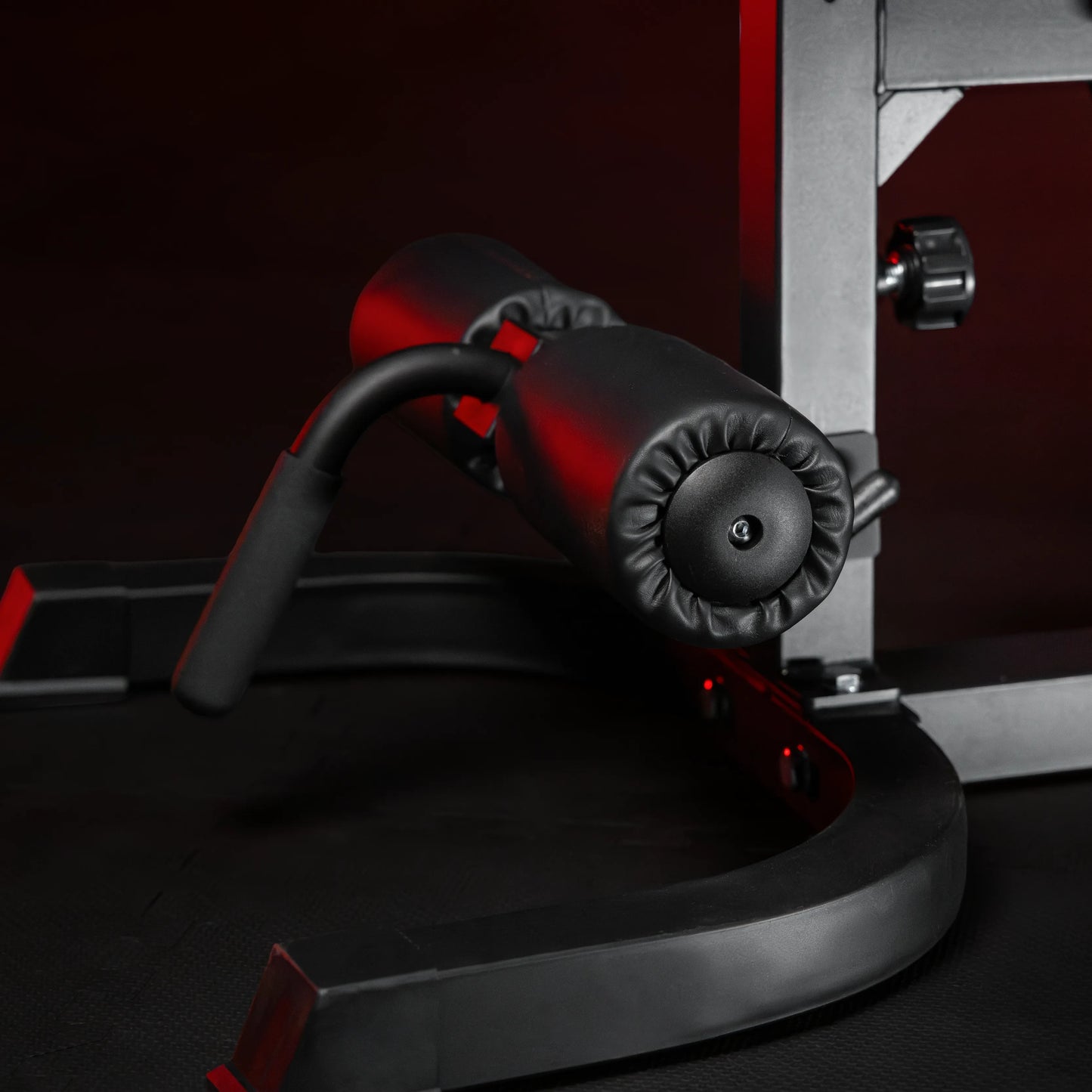 Banc inclinable réglable avec extension de jambes et pupitre à biceps