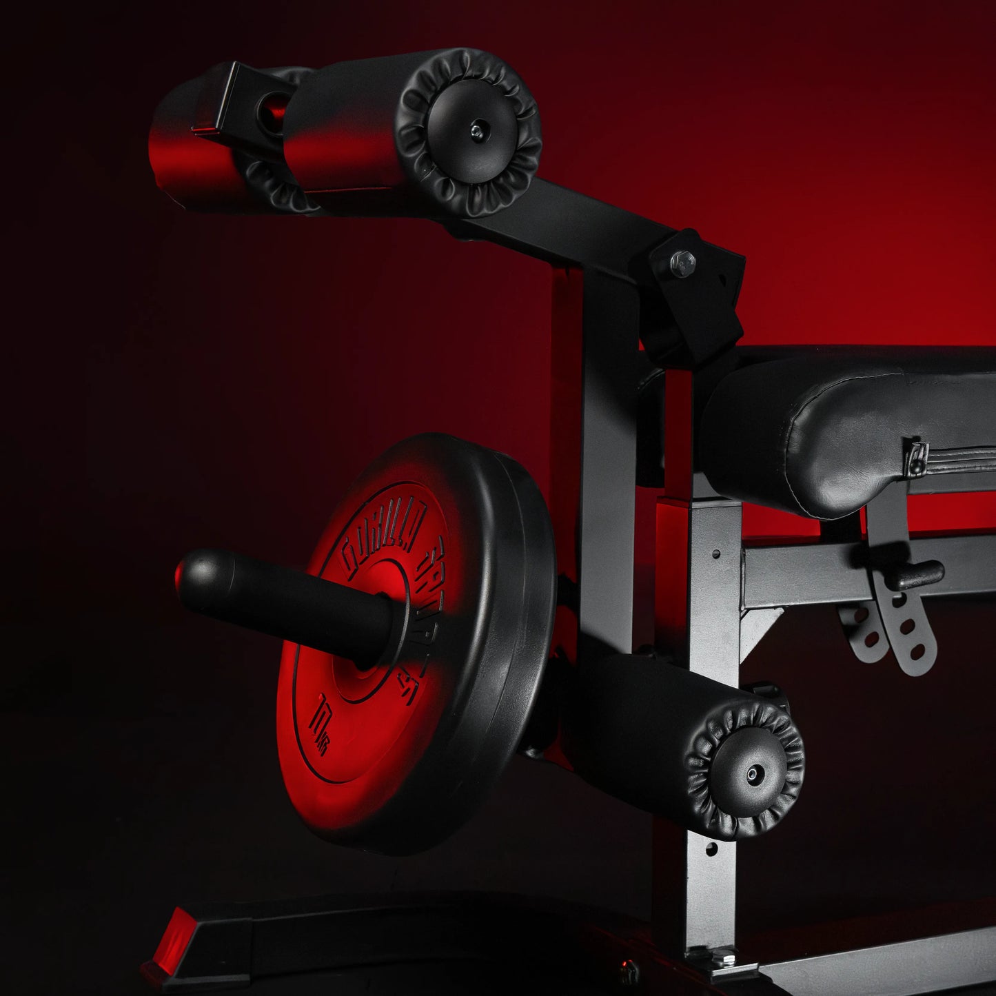 Banc inclinable réglable avec extension de jambes et pupitre à biceps