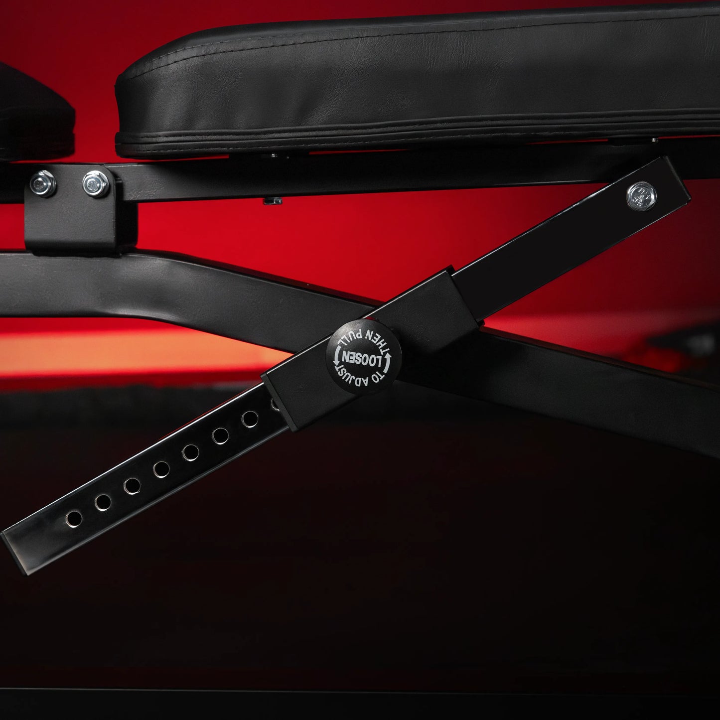 Banc inclinable réglable avec extension de jambes et pupitre à biceps