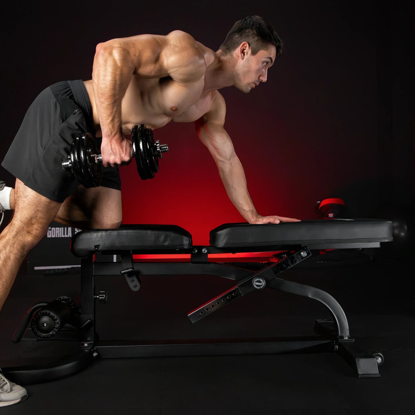 Banc inclinable réglable avec extension de jambes et pupitre à biceps