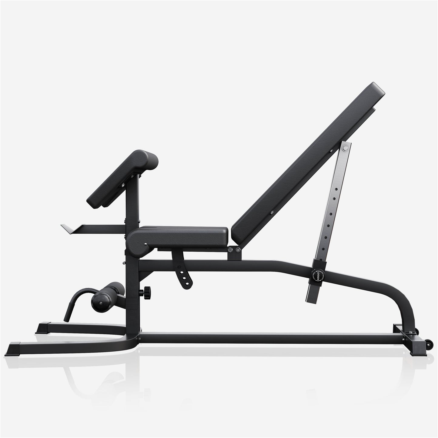 Banc inclinable réglable avec extension de jambes et pupitre à biceps