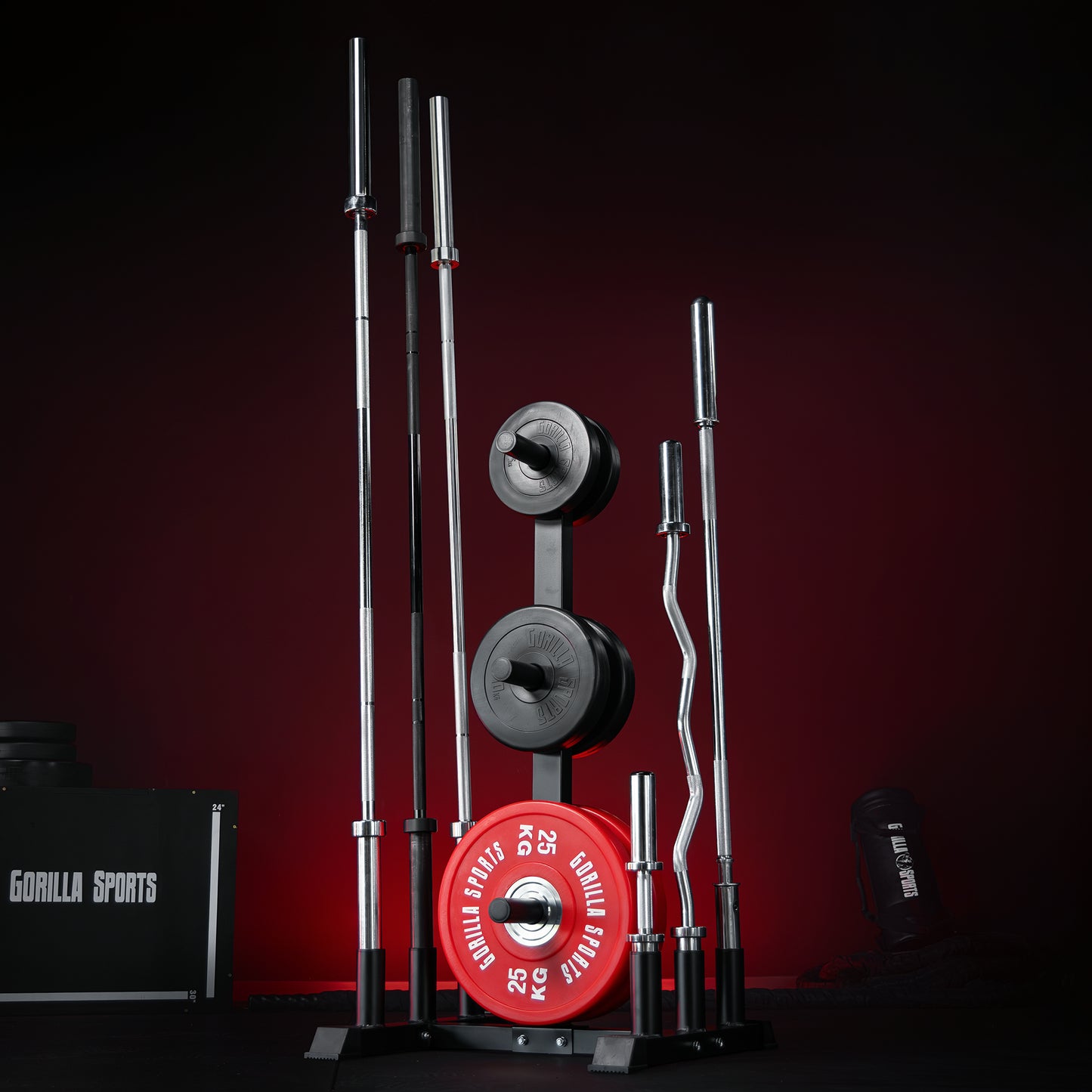 Rack pour disques et barres olympiques