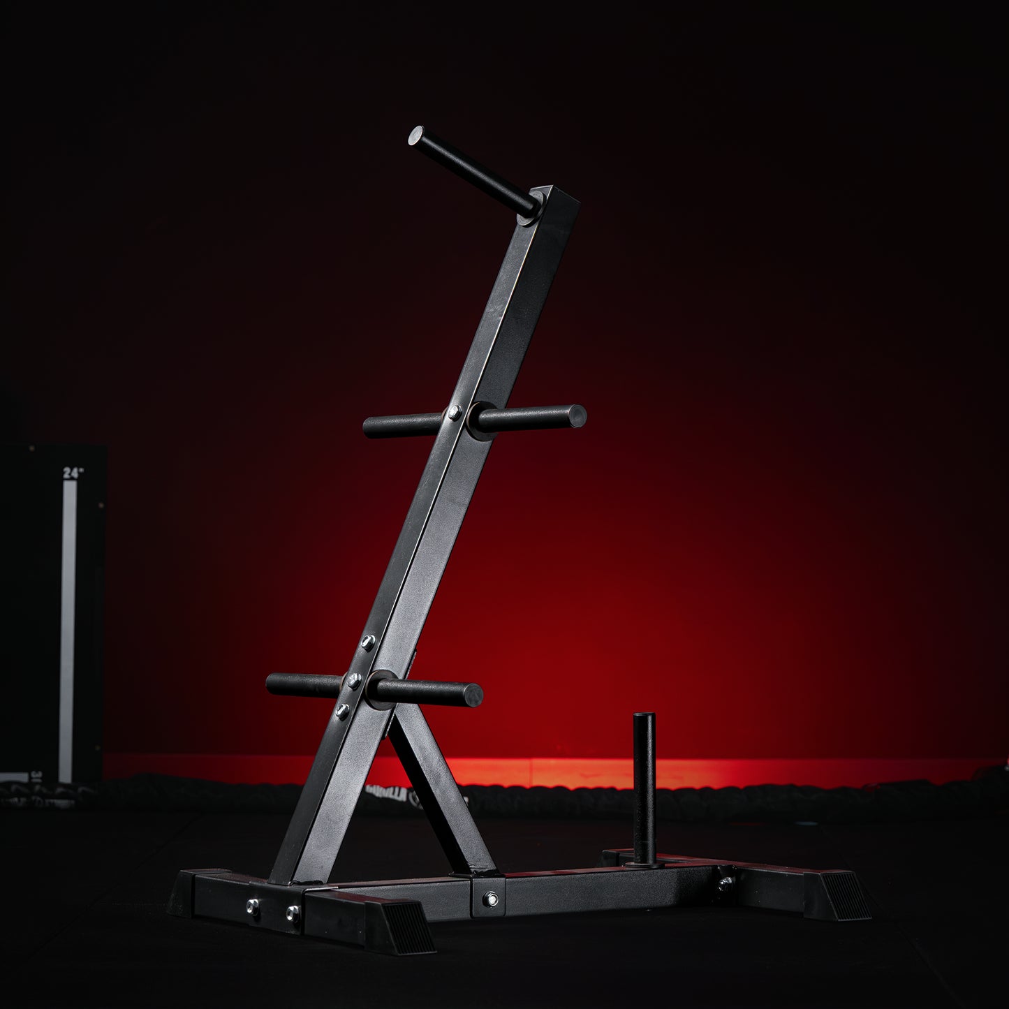 Support pour poids avec set de disques 77,5 kg