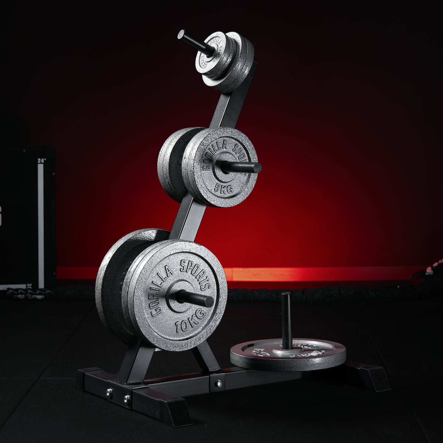 Support pour poids avec set de disques 77,5 kg