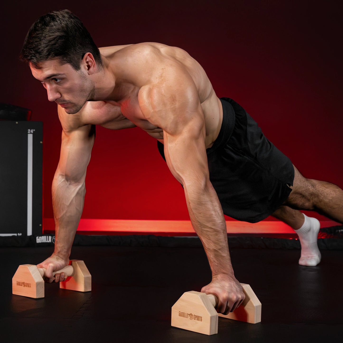 Parallettes calisthenics avec sac de transport