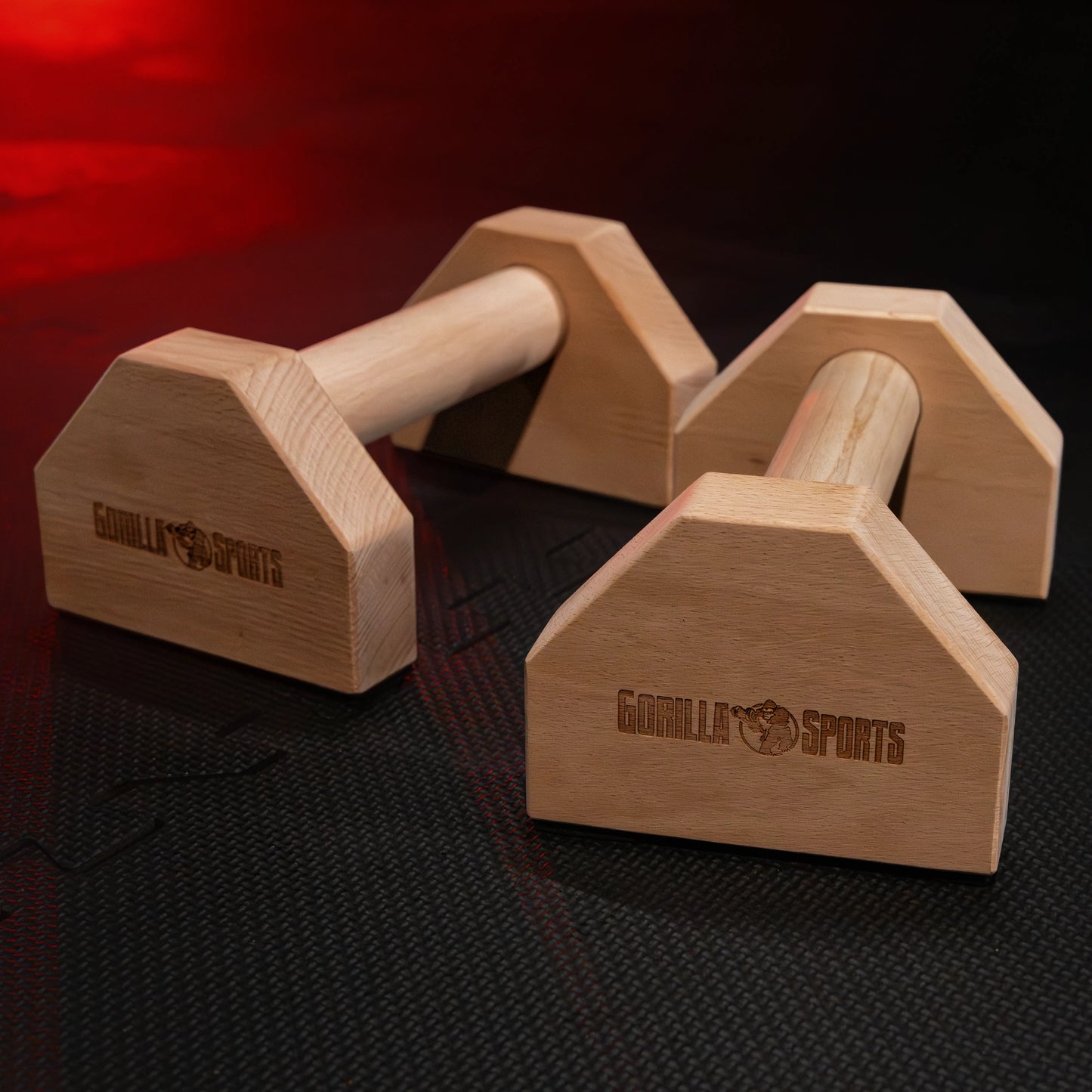 Parallettes calisthenics avec sac de transport
