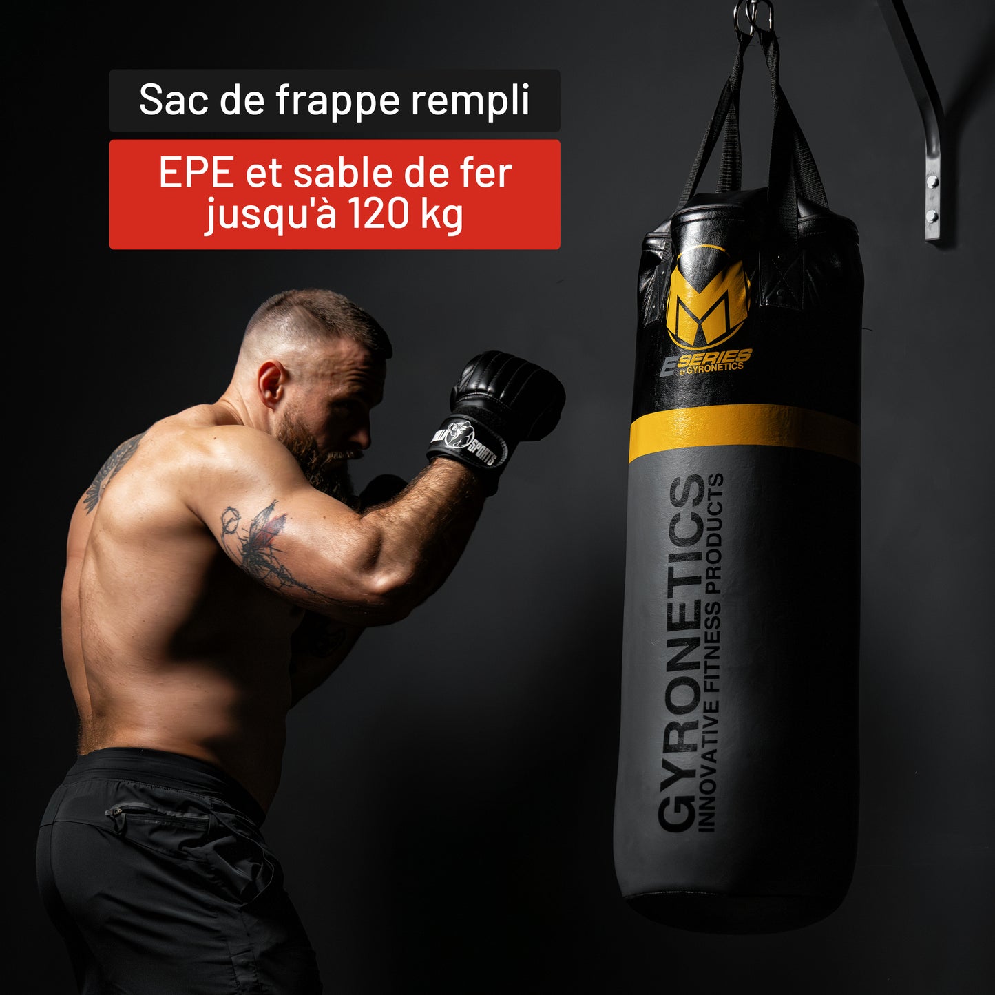 Sac de frappe avec barre de traction E-Series