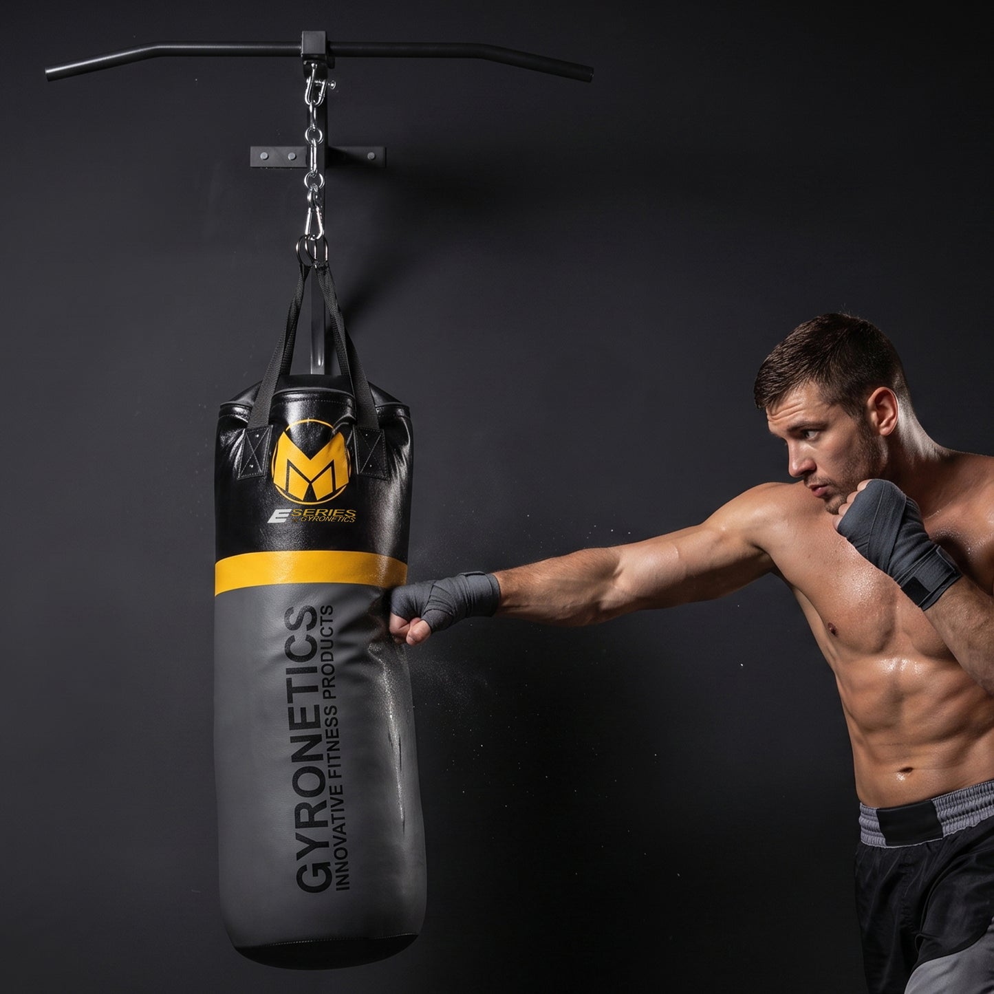 Sac de frappe avec barre de traction E-Series