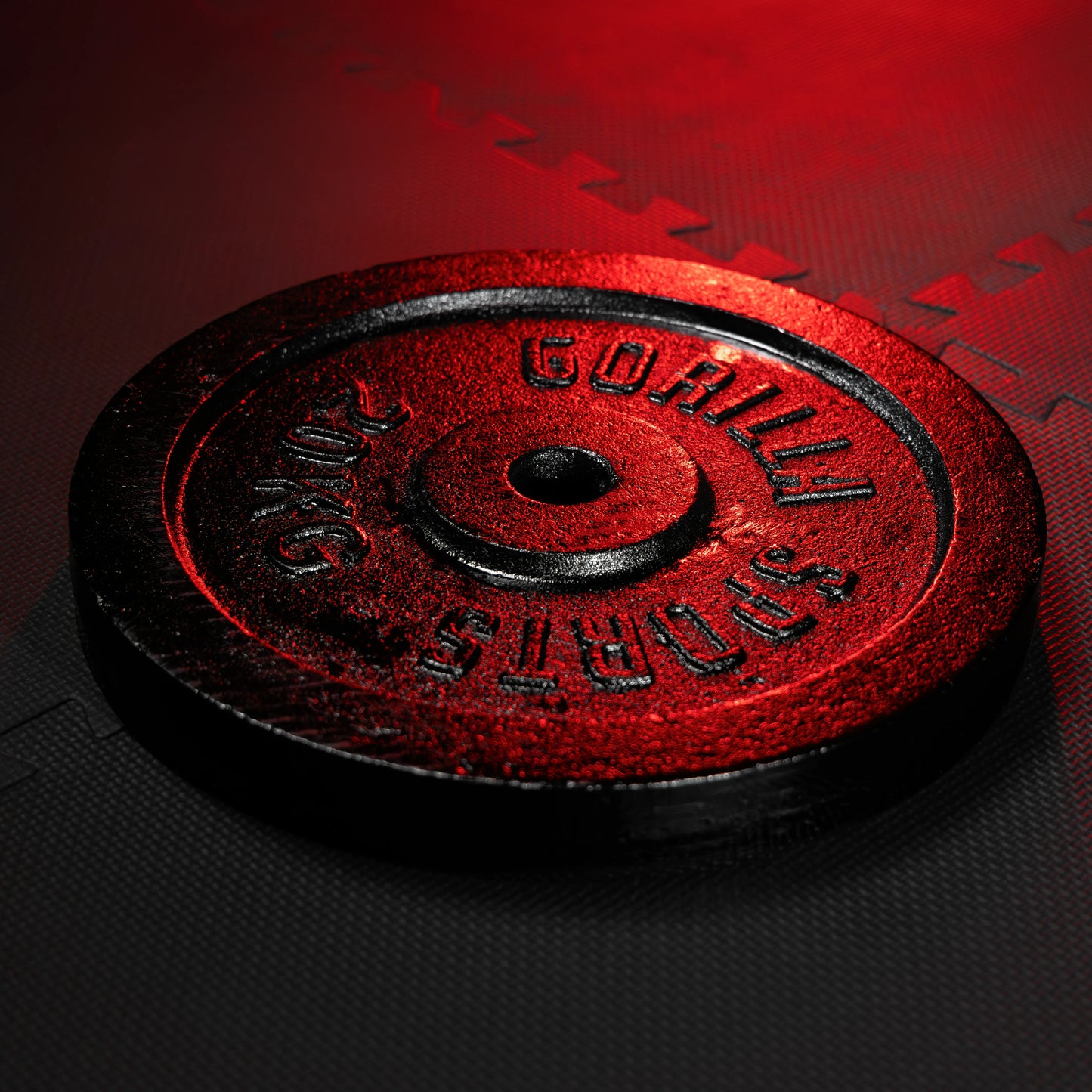 Disque de poids en fonte 30/31 mm