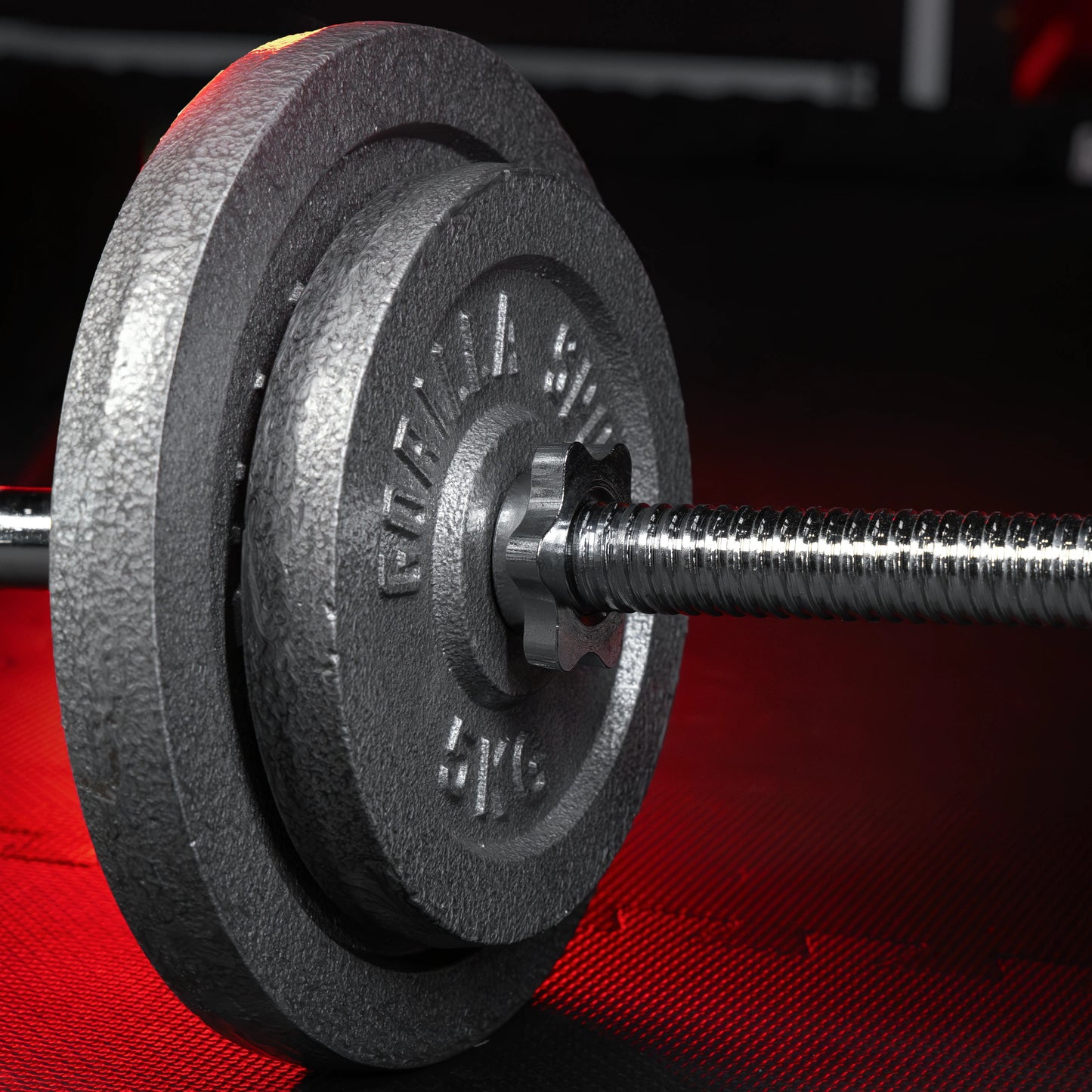 Disque de poids en fonte 30/31 mm