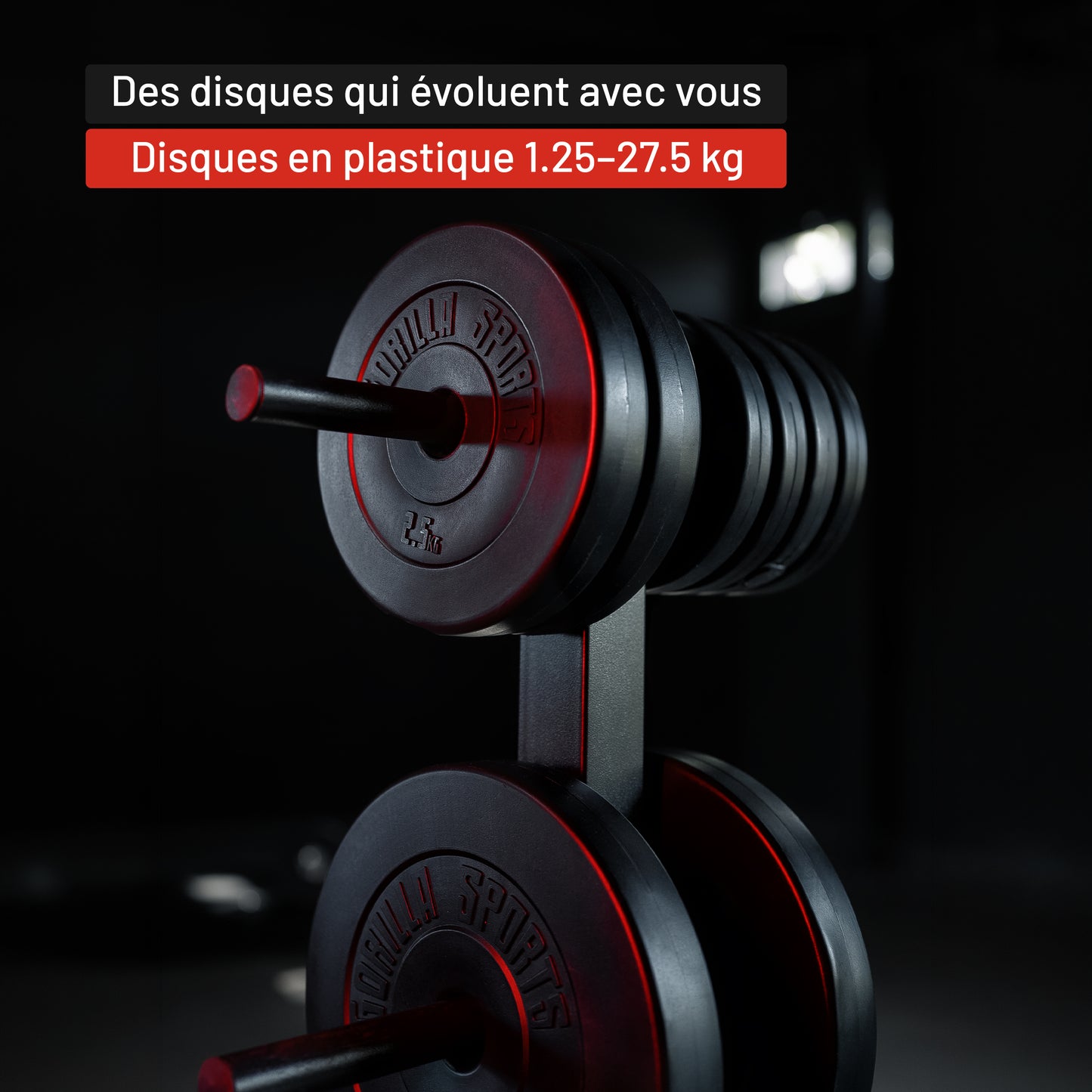 Disques musculation en plastique 30/31 mm