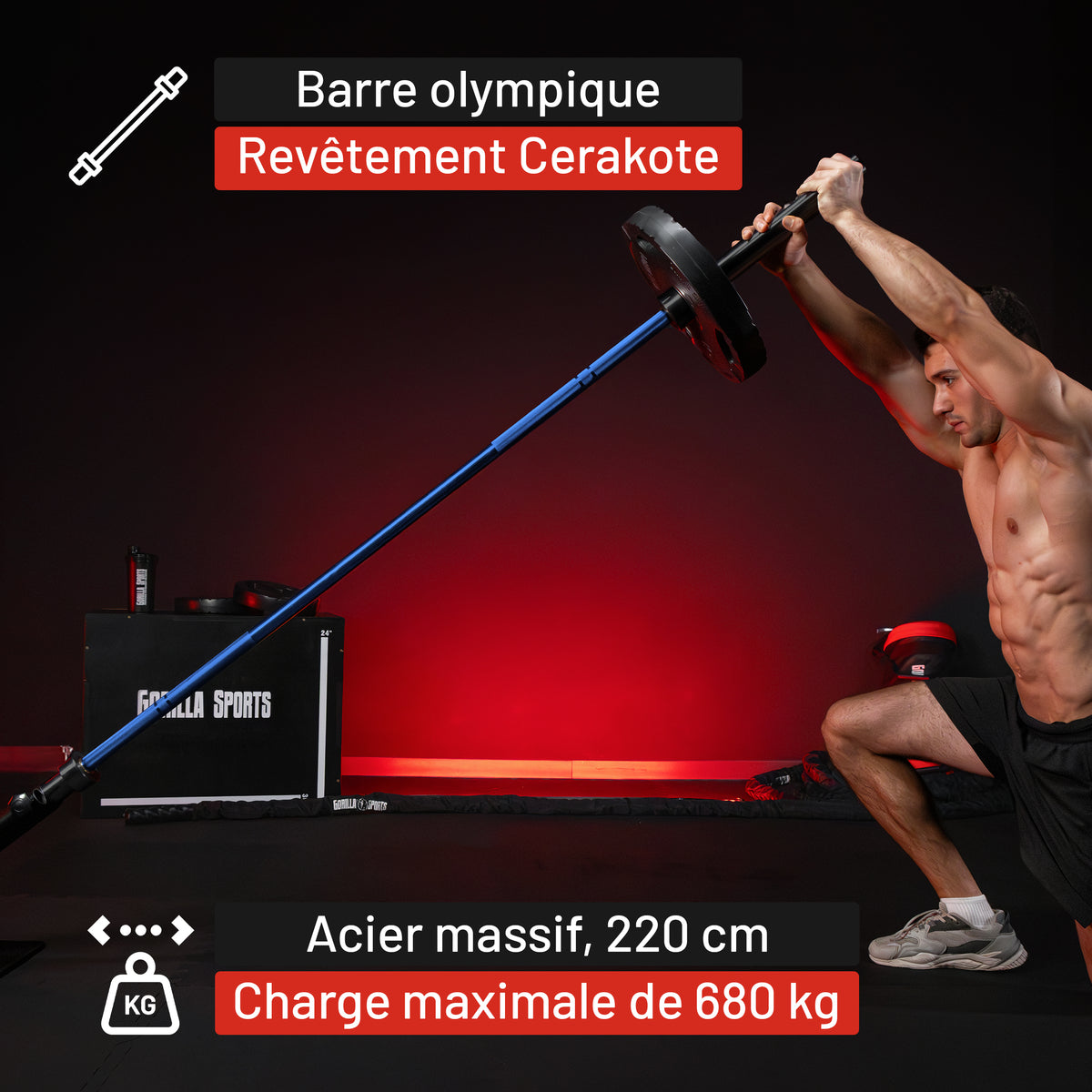 Barre olympique 50/51 mm