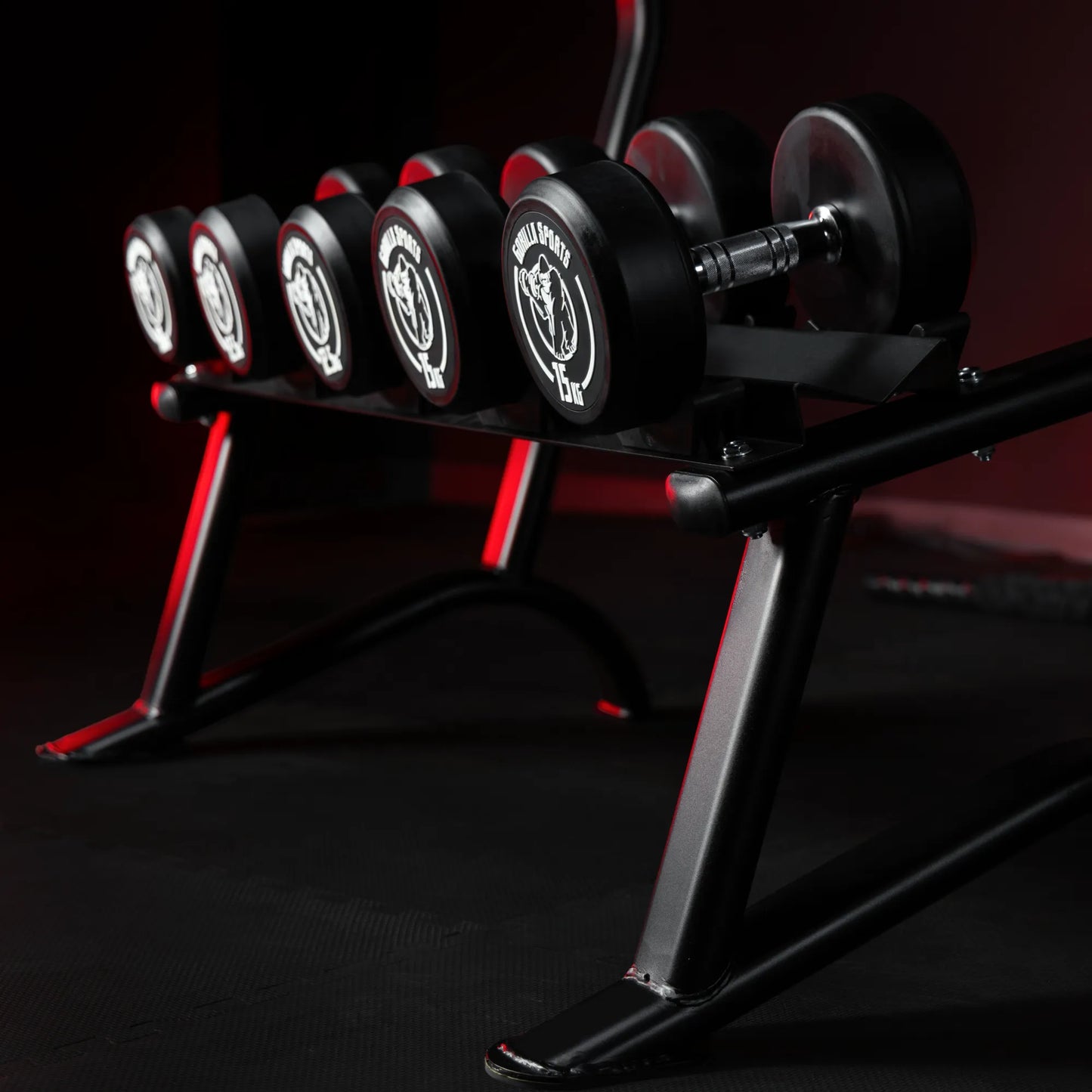 Rack de rangement pour haltères courts
